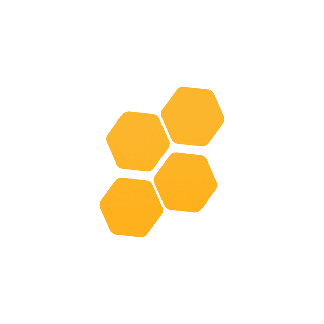 Icon 1