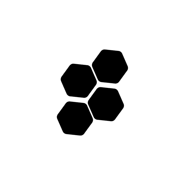 Icon 2
